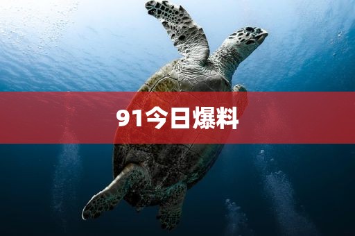 91今日爆料