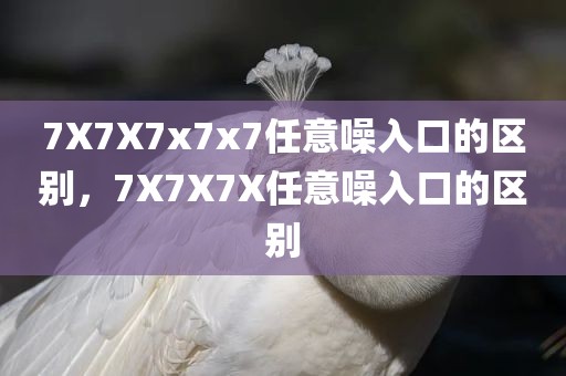 7X7X7x7x7任意噪入口的区别，7X7X7X任意噪入口的区别
