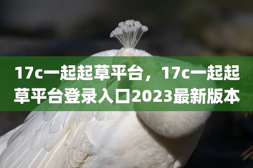 17c一起起草平台，17c一起起草平台登录入口2023最新版本