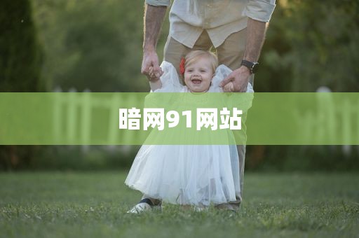 暗网91网站