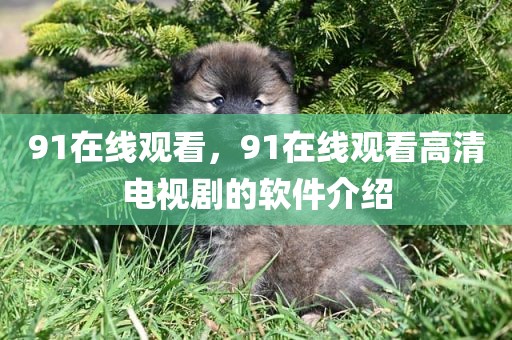 91在线观看，91在线观看高清电视剧的软件介绍