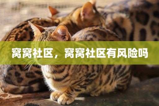 窝窝社区，窝窝社区有风险吗