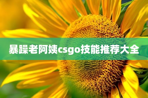 暴躁老阿姨csgo技能推荐大全