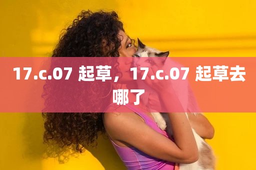 17.c.07 起草，17.c.07 起草去哪了