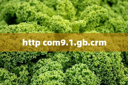 http com9.1.gb.crm