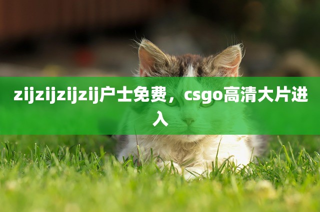 zijzijzijzij户士免费，csgo高清大片进入