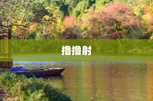 撸撸射