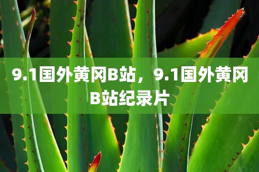 9.1国外黄冈B站，9.1国外黄冈B站纪录片