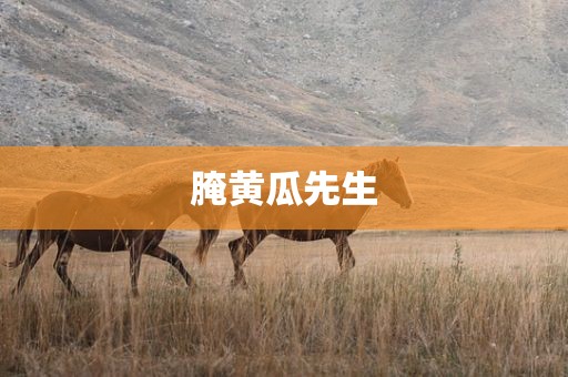 腌黄瓜先生