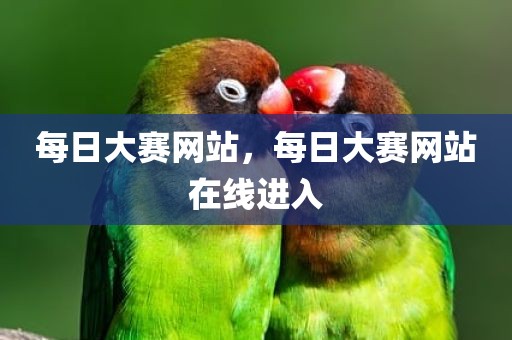 每日大赛网站，每日大赛网站在线进入