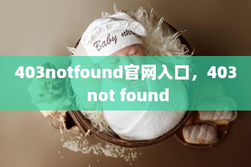 403notfound官网入口，403 not found