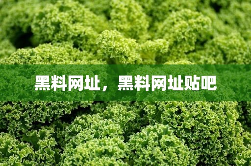 黑料网址，黑料网址贴吧