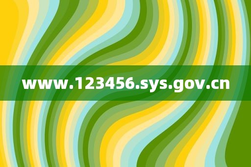www.123456.sys.gov.cn
