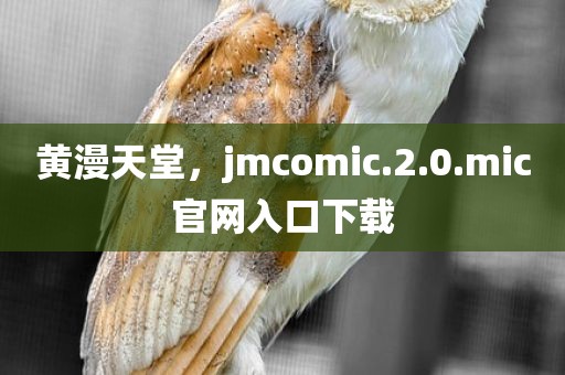 黄漫天堂，jmcomic.2.0.mic官网入口下载