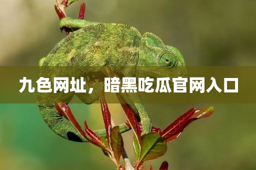 九色网址，暗黑吃瓜官网入口