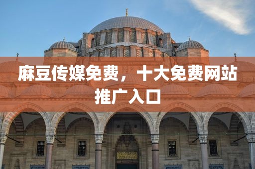 麻豆传媒免费，十大免费网站推广入口