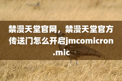 禁漫天堂官网，禁漫天堂官方传送门怎么开启jmcomicron.mic