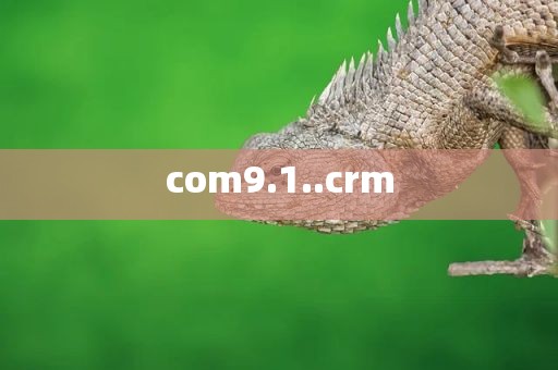 com9.1..crm