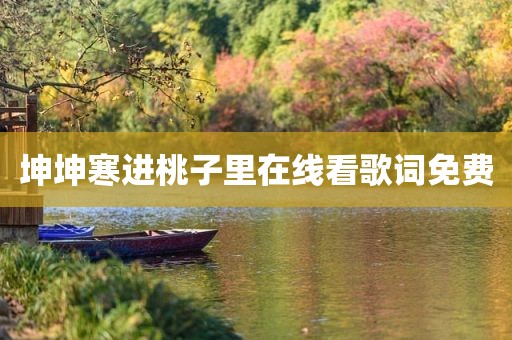 坤坤寒进桃子里在线看歌词免费