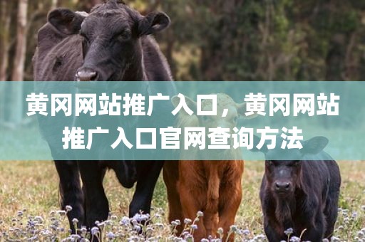 黄冈网站推广入口，黄冈网站推广入口官网查询方法