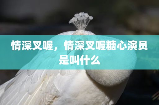 情深叉喔，情深叉喔糖心演员是叫什么