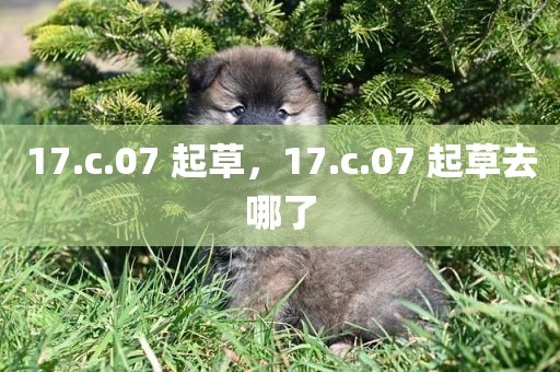 17.c.07 起草，17.c.07 起草去哪了