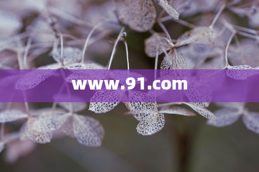 www.91.com