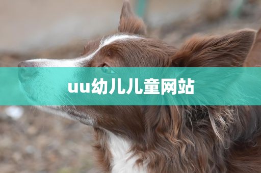 uu幼儿儿童网站