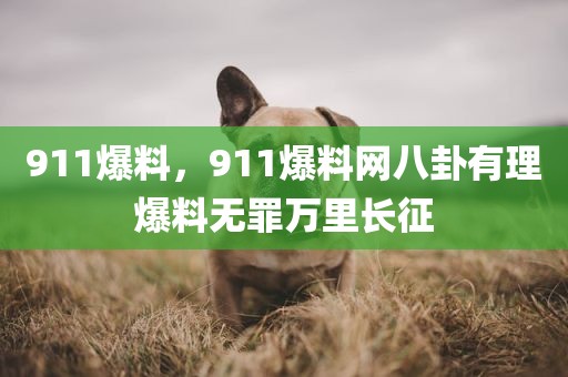 911爆料，911爆料网八卦有理爆料无罪万里长征