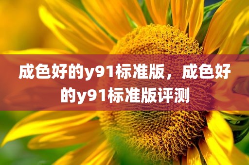成色好的y91标准版，成色好的y91标准版评测