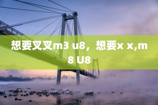 想要叉叉m3 u8，想要x x,m8 U8