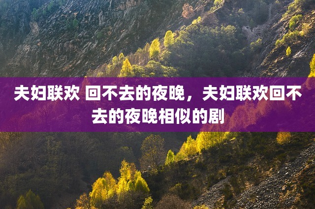 夫妇联欢 回不去的夜晚，夫妇联欢回不去的夜晚相似的剧