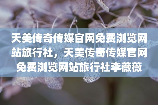 天美传奇传媒官网免费浏览网站旅行社，天美传奇传媒官网免费浏览网站旅行社李薇薇