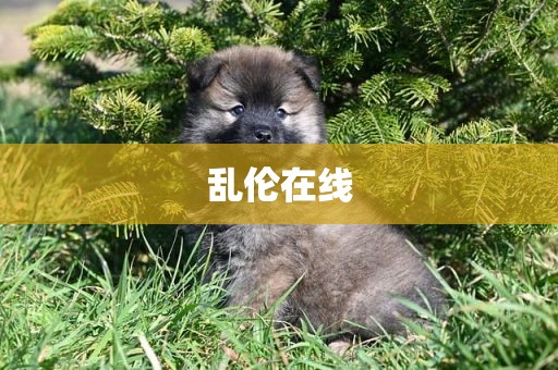 乱伦在线