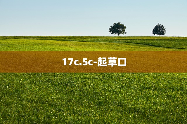 17c.5c-起草口