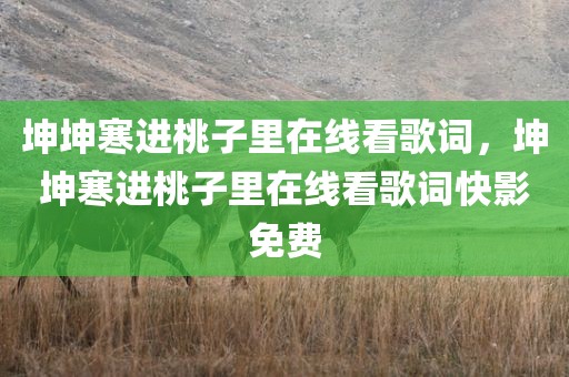 坤坤寒进桃子里在线看歌词，坤坤寒进桃子里在线看歌词快影免费
