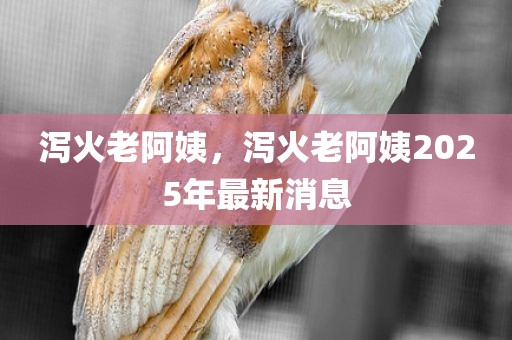 泻火老阿姨，泻火老阿姨2025年最新消息