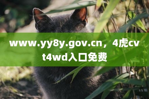www.yy8y.gov.cn，4虎cvt4wd入口免费