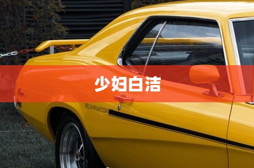 少妇白洁