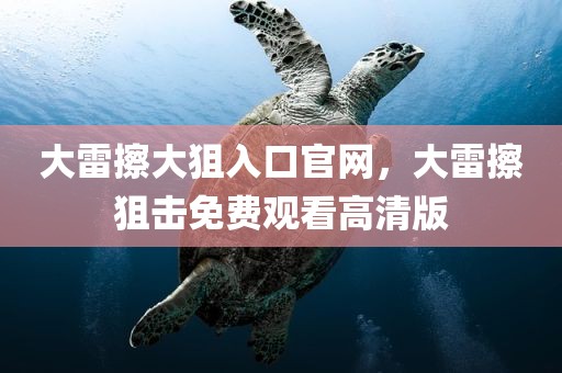 大雷擦大狙入口官网，大雷擦狙击免费观看高清版