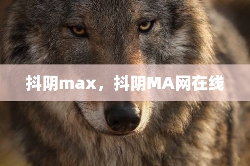 抖阴max，抖阴MA网在线