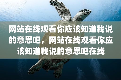 网站在线观看你应该知道我说的意思吧，网站在线观看你应该知道我说的意思吧在线
