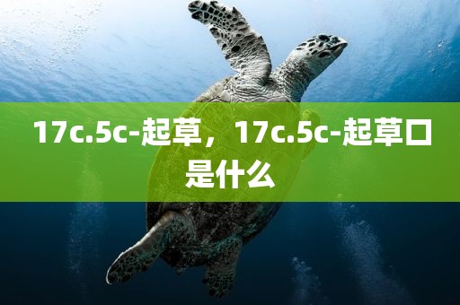 17c.5c-起草，17c.5c-起草口是什么