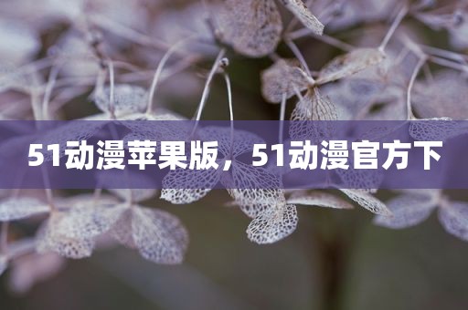 51动漫苹果版，51动漫官方下