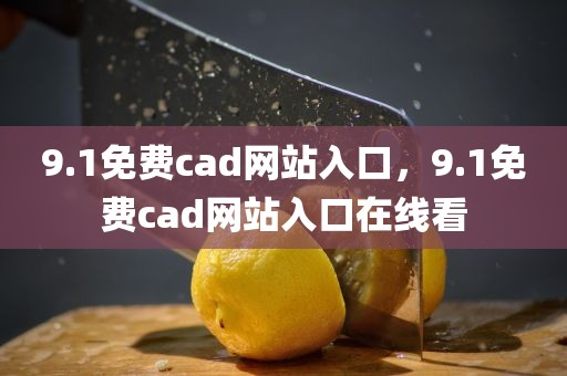 9.1免费cad网站入口，9.1免费cad网站入口在线看