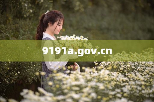 9191a.gov.cn