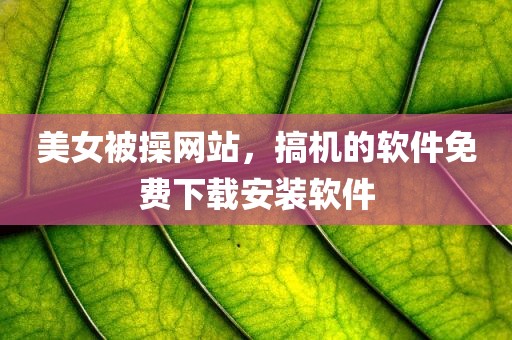 美女被操网站，搞机的软件免费下载安装软件