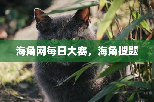 海角网每日大赛，海角搜题