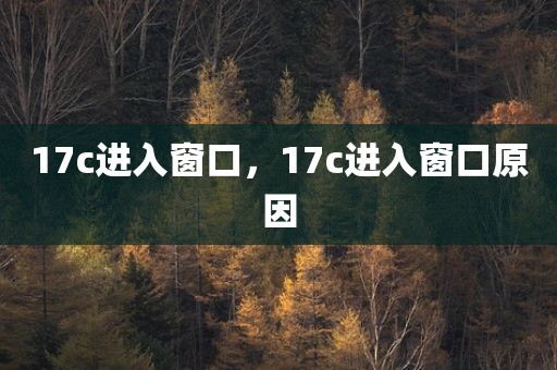 17c进入窗口，17c进入窗口原因