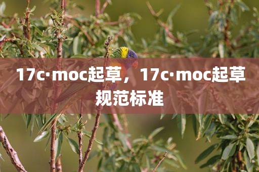 17c·moc起草，17c·moc起草规范标准
